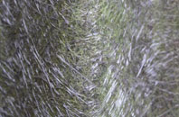 Groes Lwyd fibreglass roof work